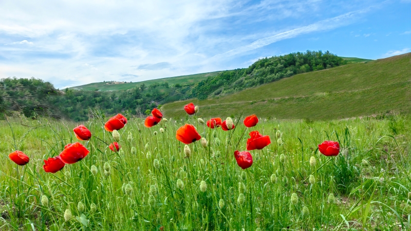 2 500 jours de transformation : Zijin dépollue l'eau d'une ville minière serbe